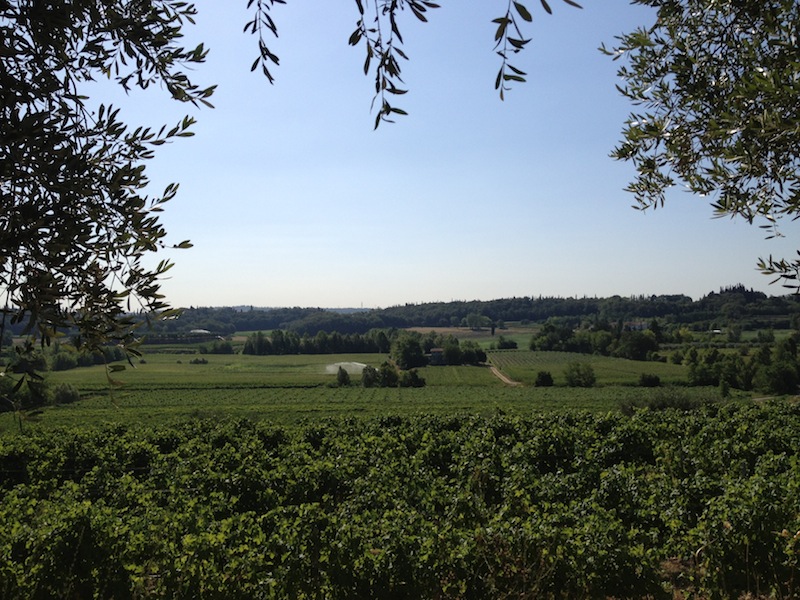 Convegno "I prodotti del parco per una sana nutrizione e per ambienti di vita di qualità"