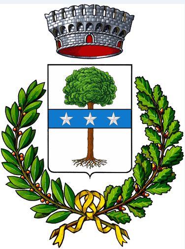 Consiglio comunale