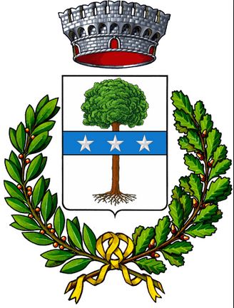 Consiglio Comunale
