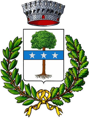 Consiglio Comunale