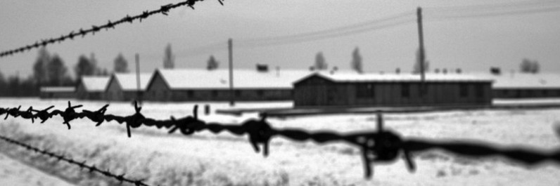 I ragazzi della 3a Don Milani ricordano la Shoah