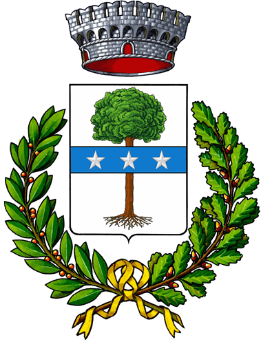 Consiglio comunale - 23/04/2018