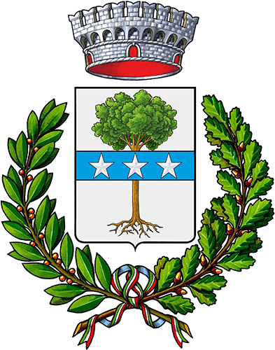 Consiglio comunale